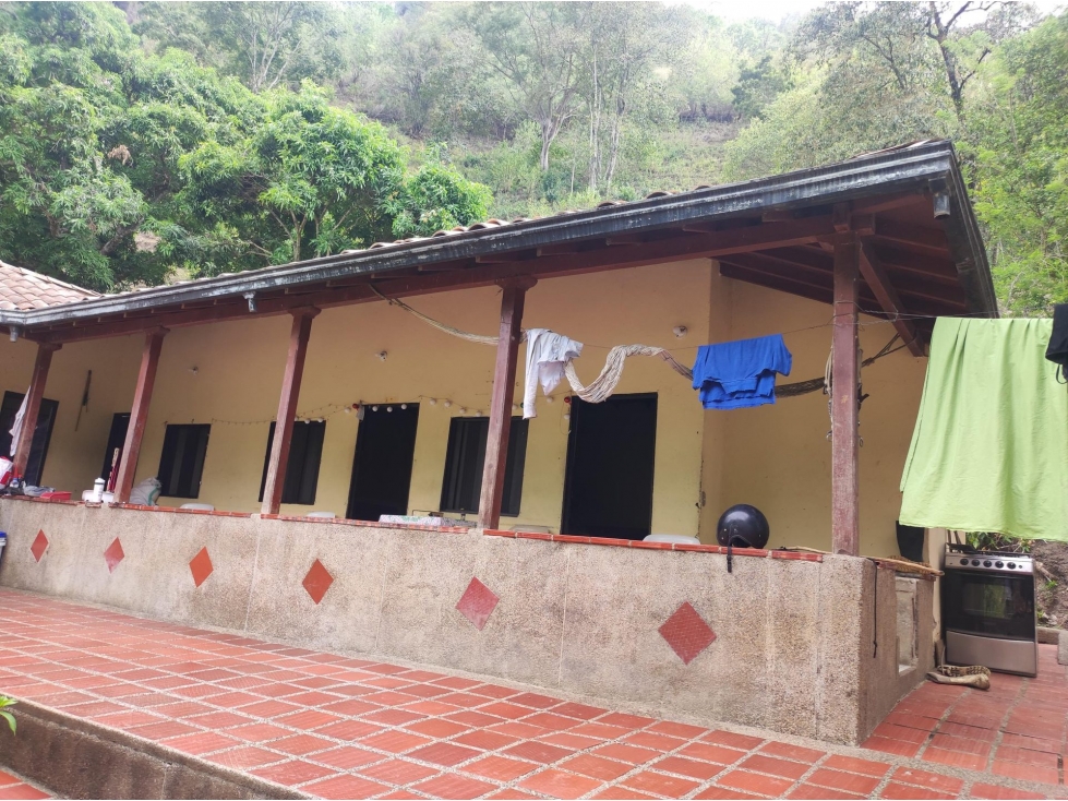 FINCA en Gestion - Aguadas, Caldas - 1
