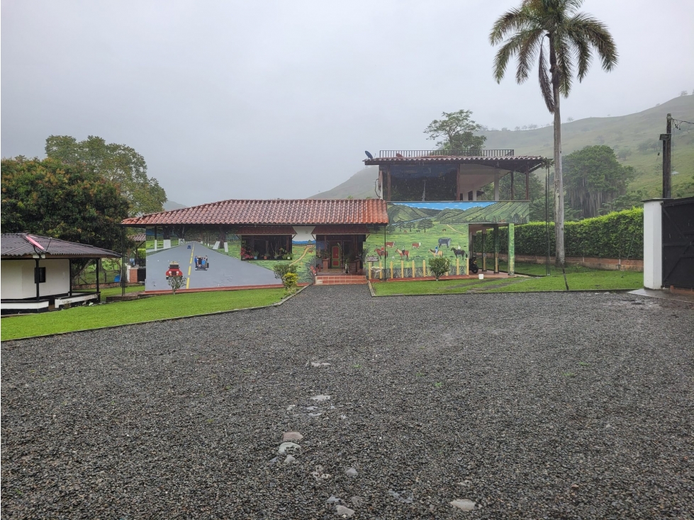 FINCA en Gestion - Anserma, Caldas