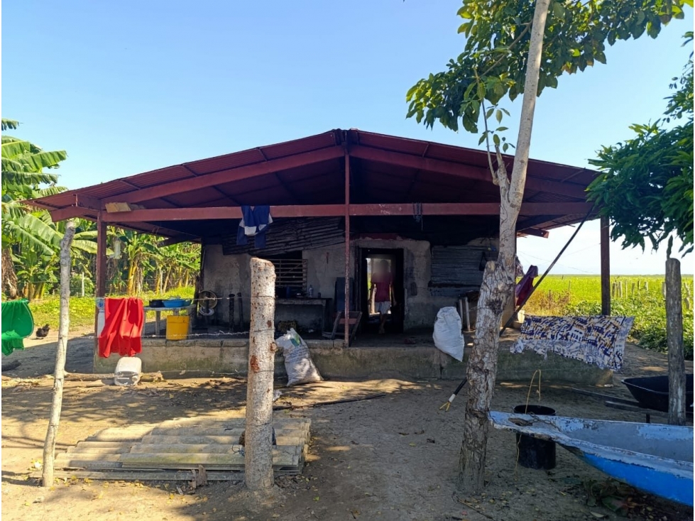 FINCA en Gestion - Arjona, Bolivar