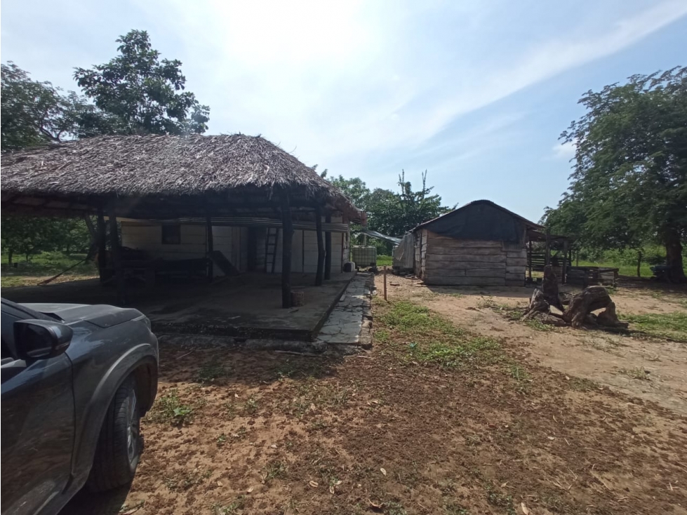 FINCA en Gestion - Arjona, Bolivar - 1