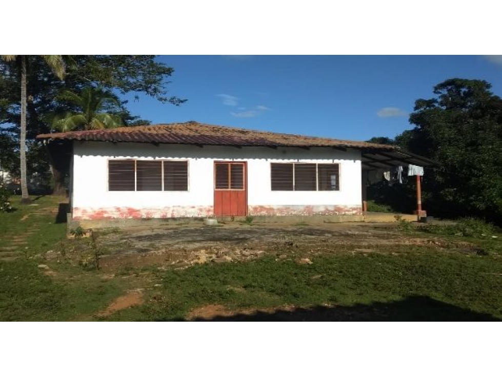 FINCA en Gestion - Ayapel, Cordoba - 1