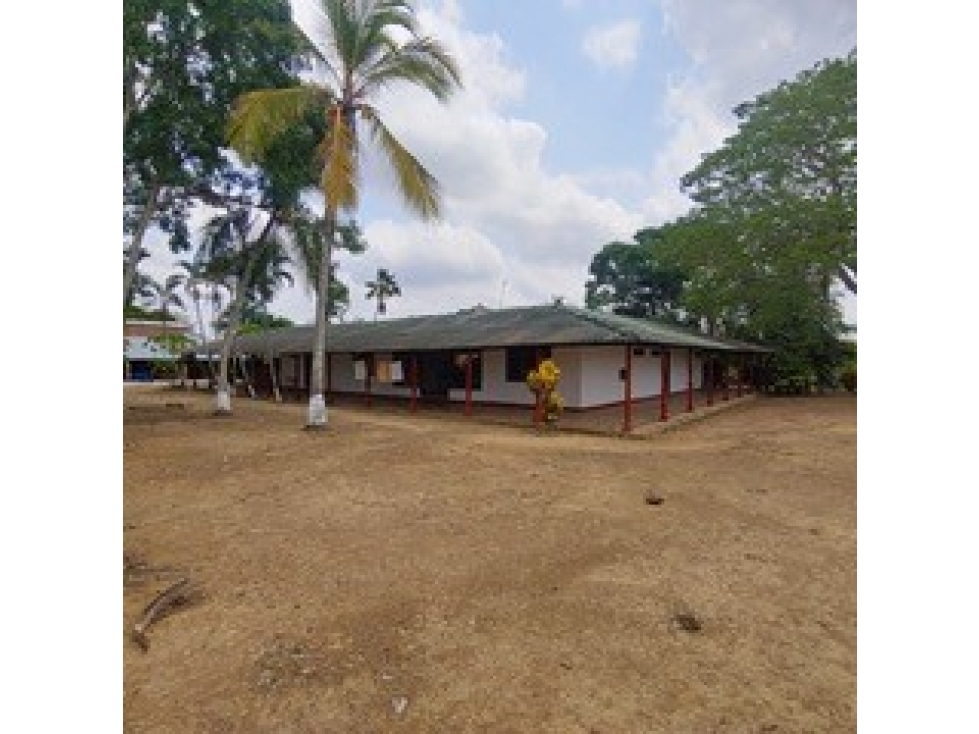 FINCA en Gestion - Buenavista, Cordoba - 2
