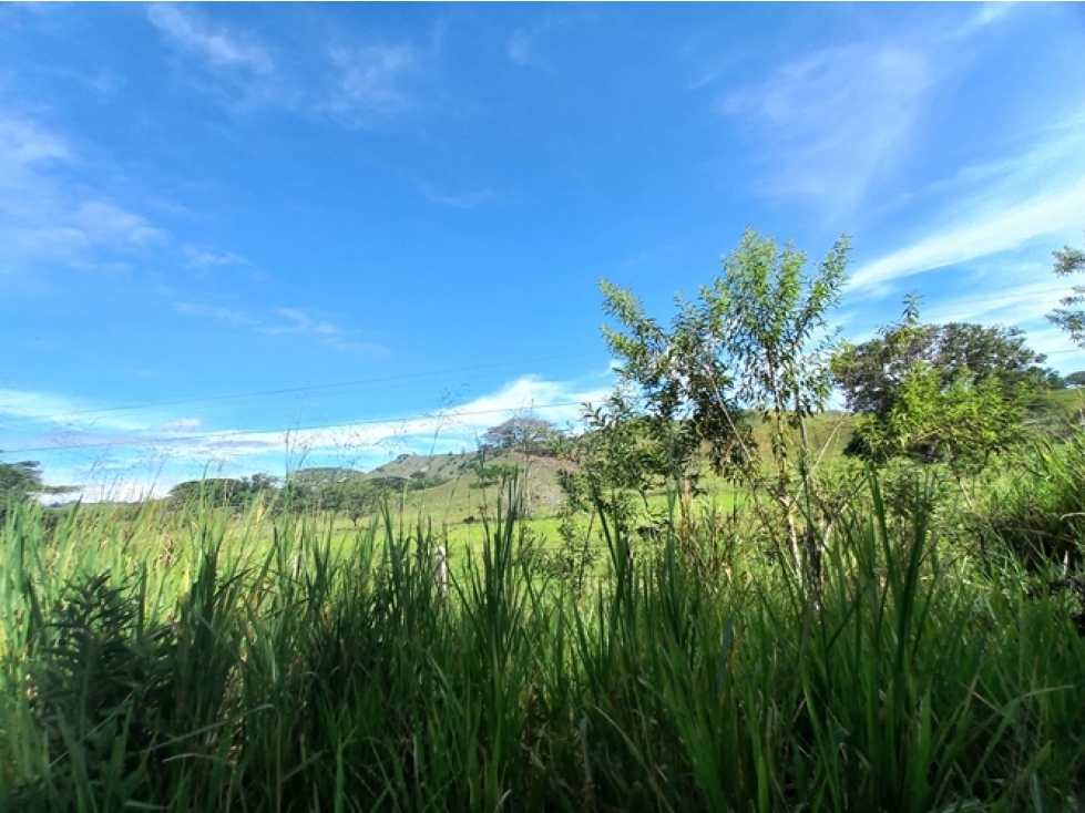 FINCA en Gestion - Bugalagrande, Valle Del Cauca - 1