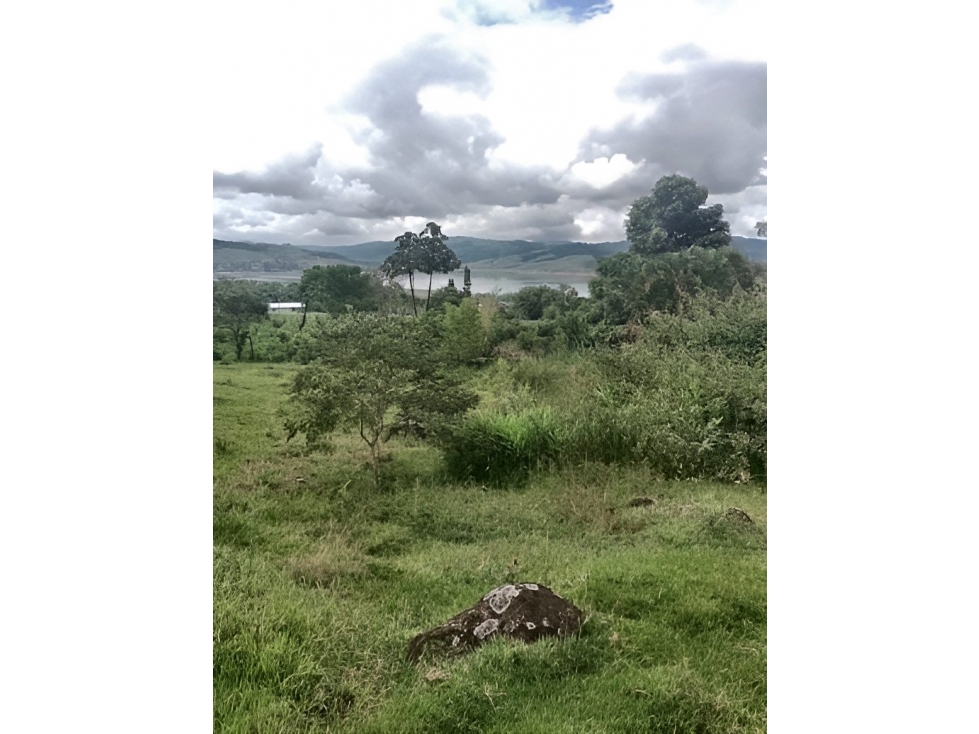 FINCA en Gestion - Calima (El Darien), Valle Del Cauca - 1