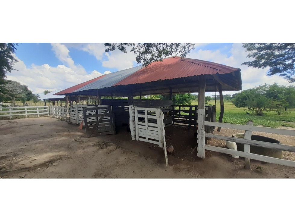 FINCA en Gestion - Chinu, Cordoba