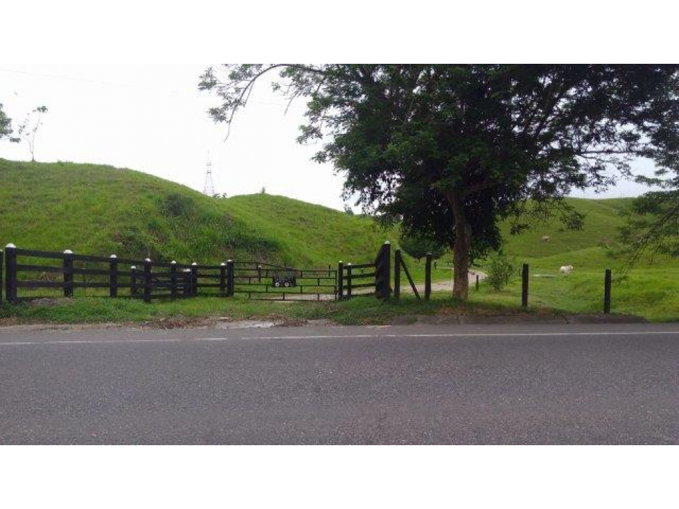 FINCA en Gestion - Cimitarra, Santander - 1