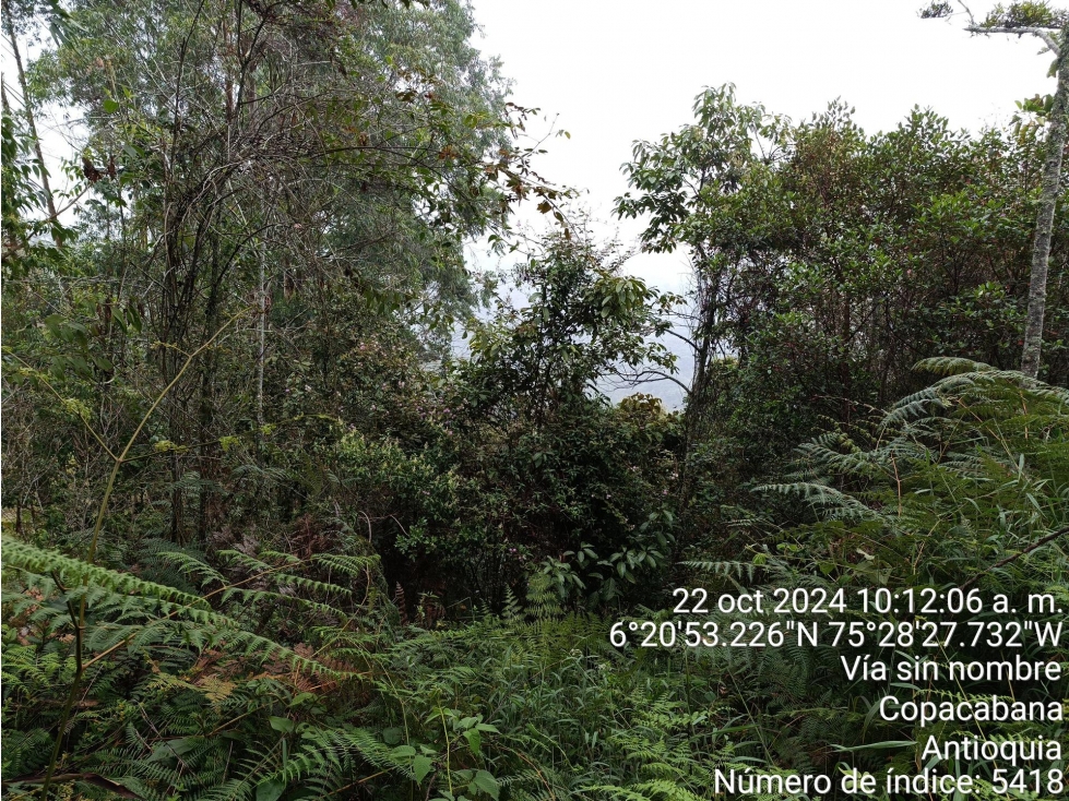FINCA en Gestion - COPACABANA, ANTIOQUIA