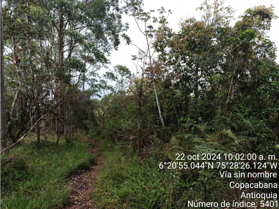 FINCA en Gestion - COPACABANA, ANTIOQUIA — foto 2