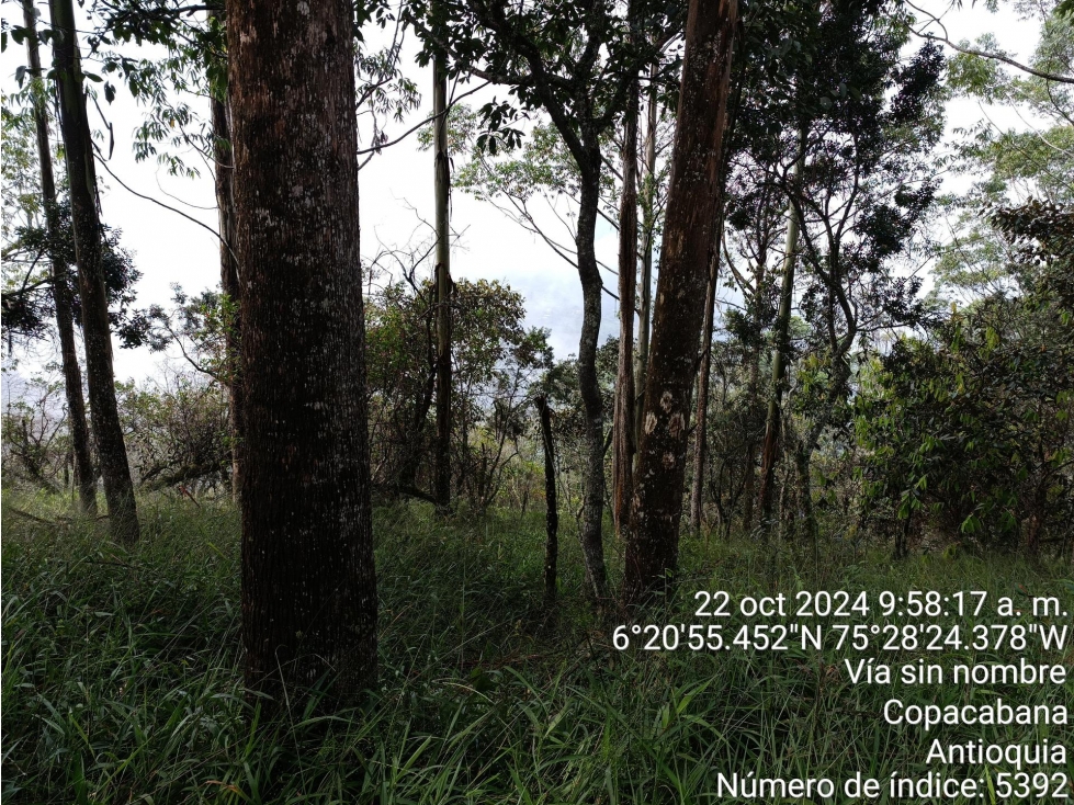 FINCA en Gestion - COPACABANA, ANTIOQUIA — foto 3