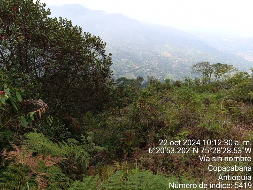 FINCA en Gestion - COPACABANA, ANTIOQUIA — foto 4