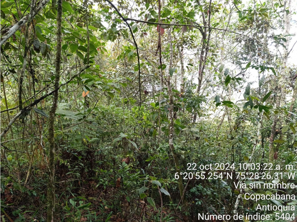 FINCA en Gestion - COPACABANA, ANTIOQUIA — foto 5