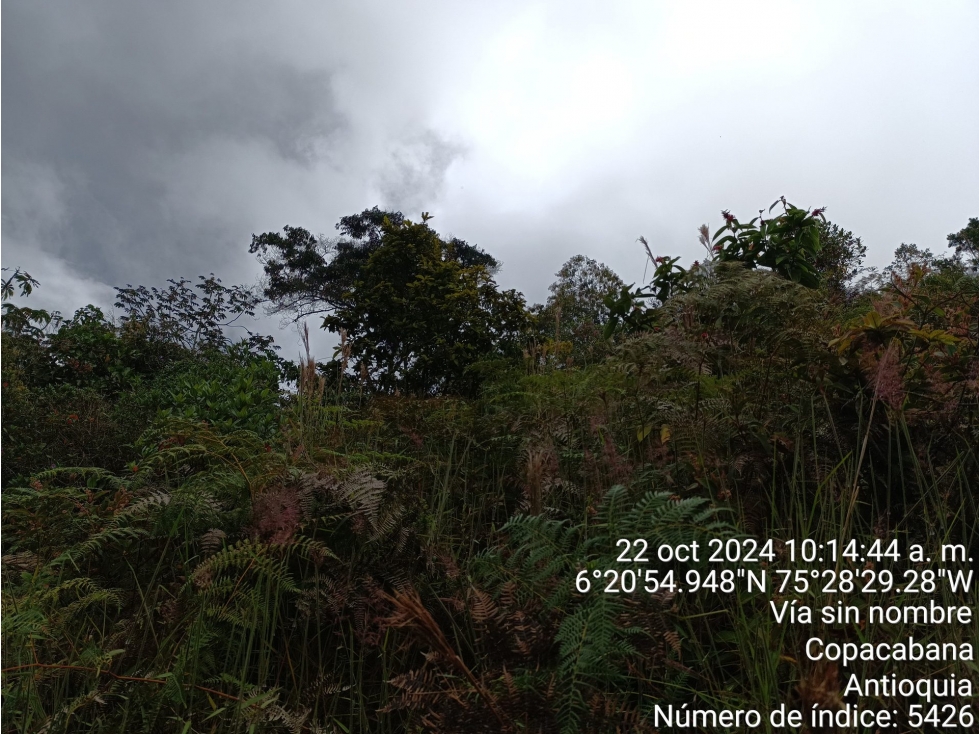 FINCA en Gestion - COPACABANA, ANTIOQUIA — foto 6
