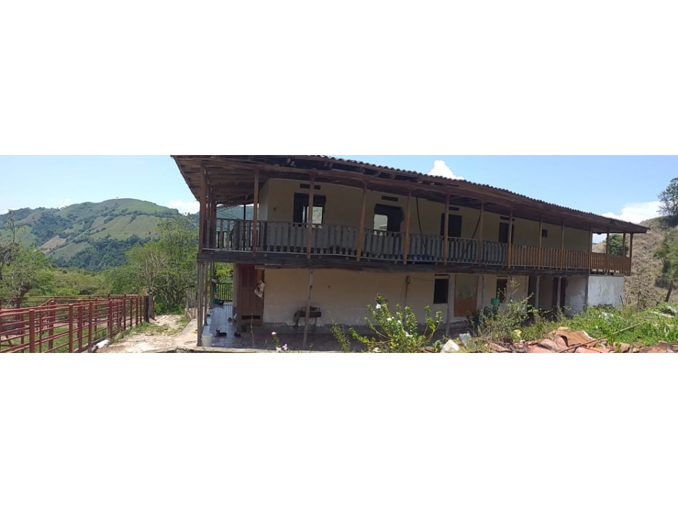 FINCA en Gestion - Filadelfia, Caldas - 1