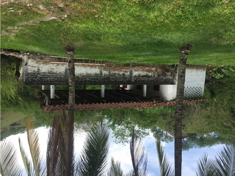 FINCA en Gestion - Filadelfia, Caldas - 1