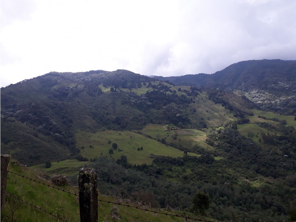 FINCA en Gestion - Guadalajara De Buga, Valle Del Cauca - 1