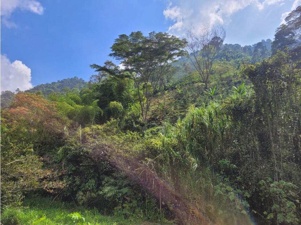 FINCA en Gestion - Ibague, Tolima
