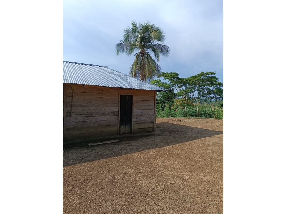 FINCA en Gestion - Los Cordobas, Cordoba