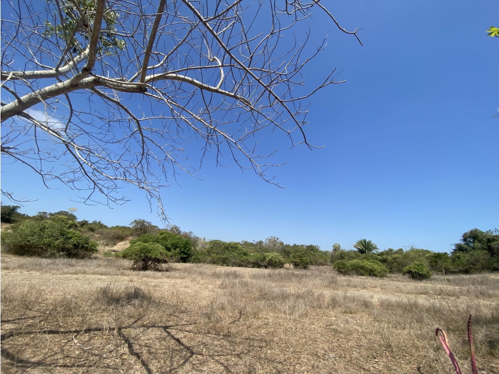 FINCA en Gestion - Magangue, Bolivar - 2