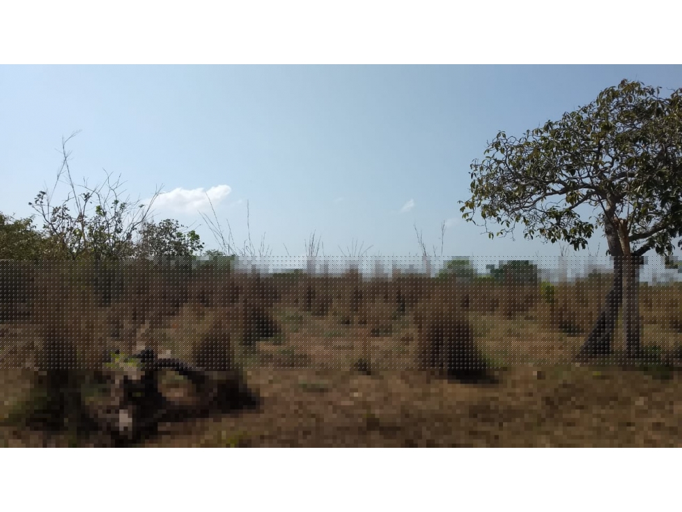 FINCA en Gestion - Magangue, Bolivar - 1