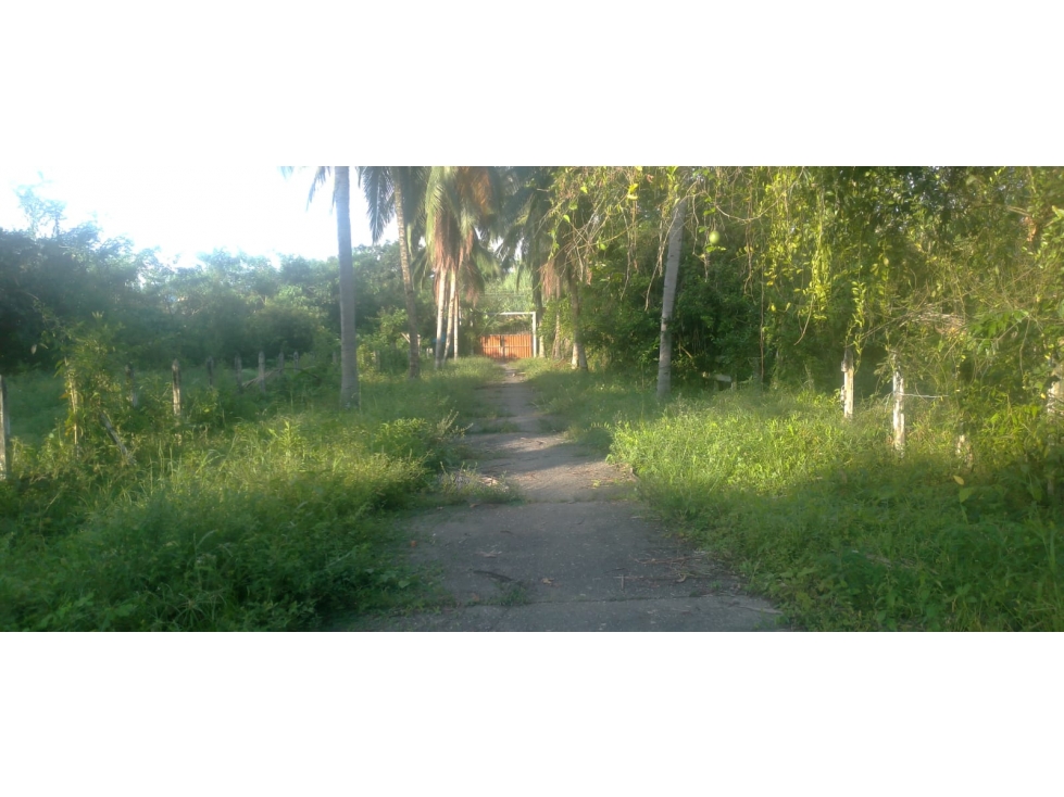 FINCA en Gestion - Manizales, Caldas — foto 2
