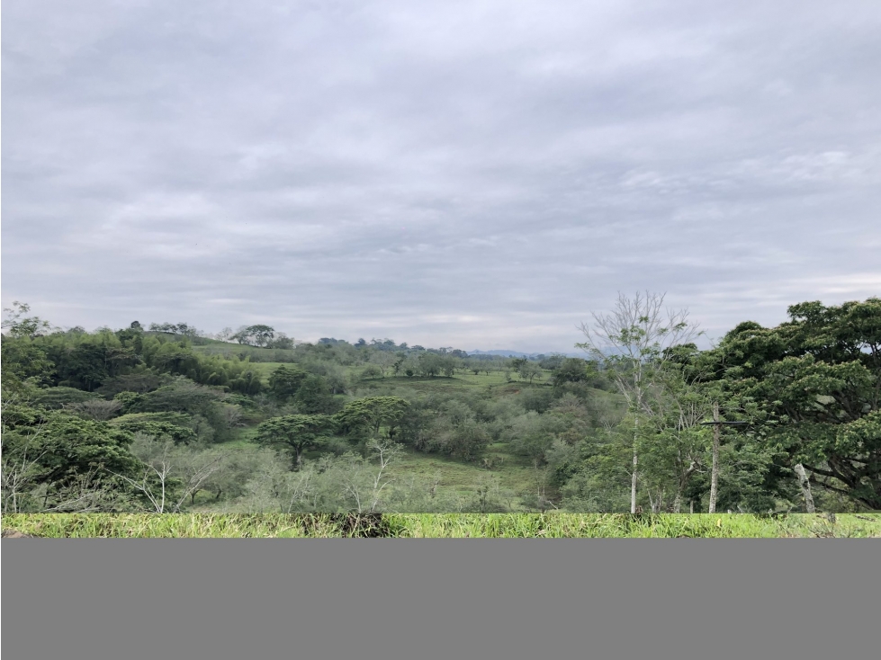FINCA en Gestion - Manizales, Caldas - 1