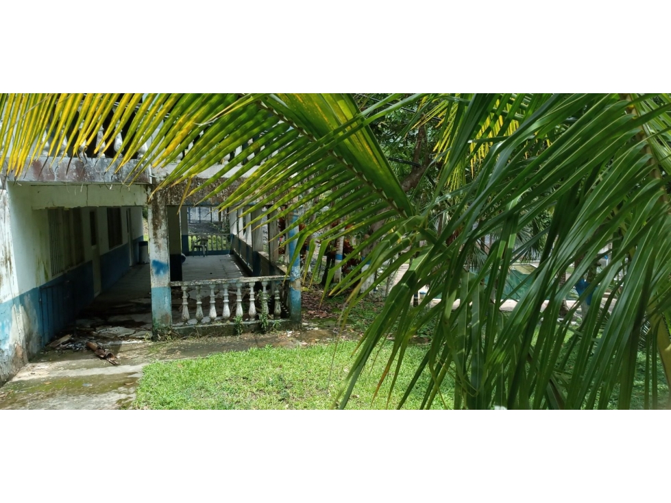 FINCA en Gestion - Maripi, Boyaca - 1