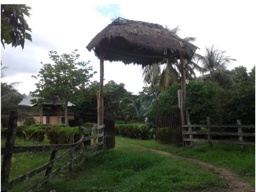 FINCA en Gestion - Monteria, Cordoba
