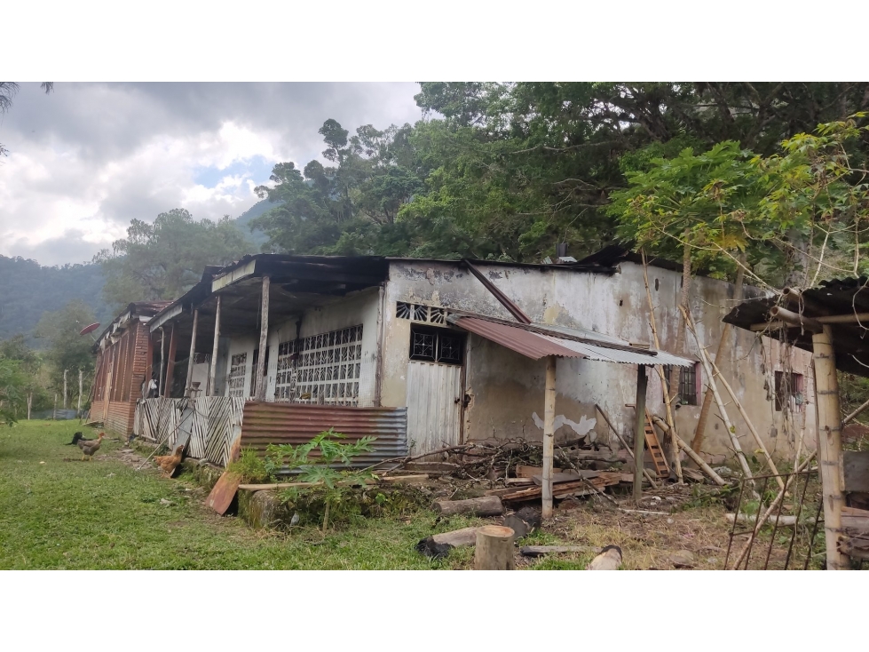 FINCA en Gestion - Muzo, Boyaca