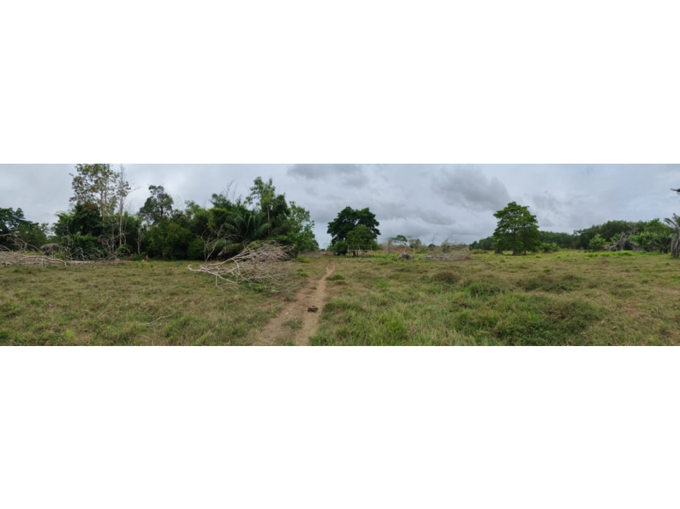 FINCA en Gestion - Necocli, Antioquia - 1