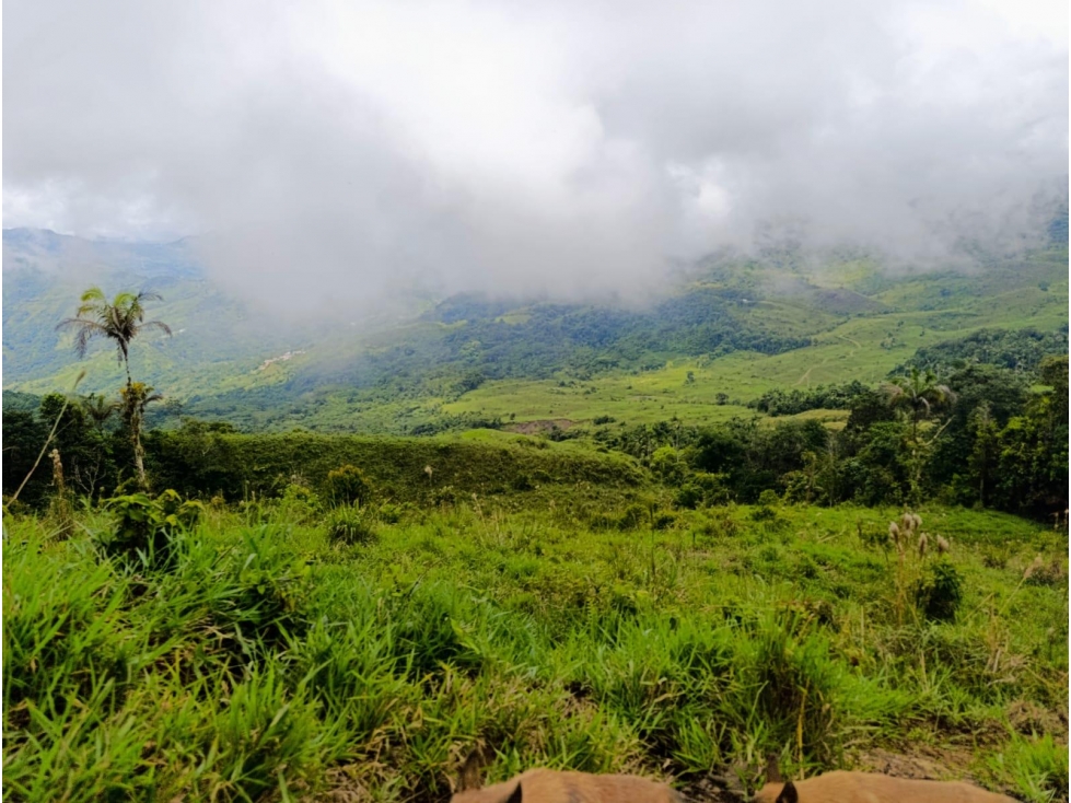 FINCA en Gestion - Otanche, Boyaca - 1