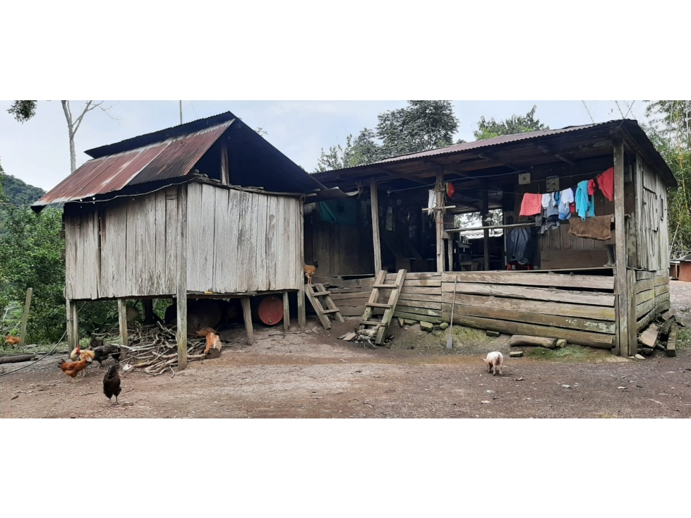 FINCA en Gestion - Otanche, Boyaca - 1