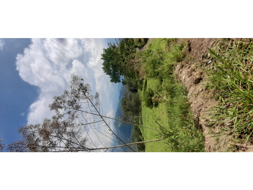 FINCA en Gestion - Pauna, Boyaca - 1