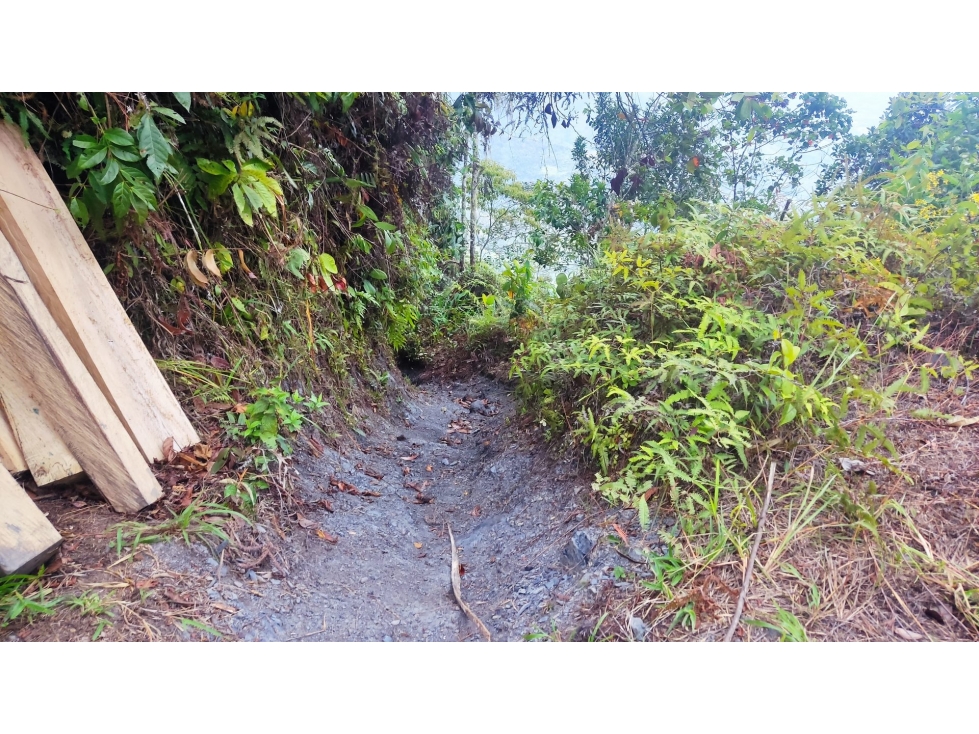 FINCA en Gestion - Pauna, Boyaca - 1