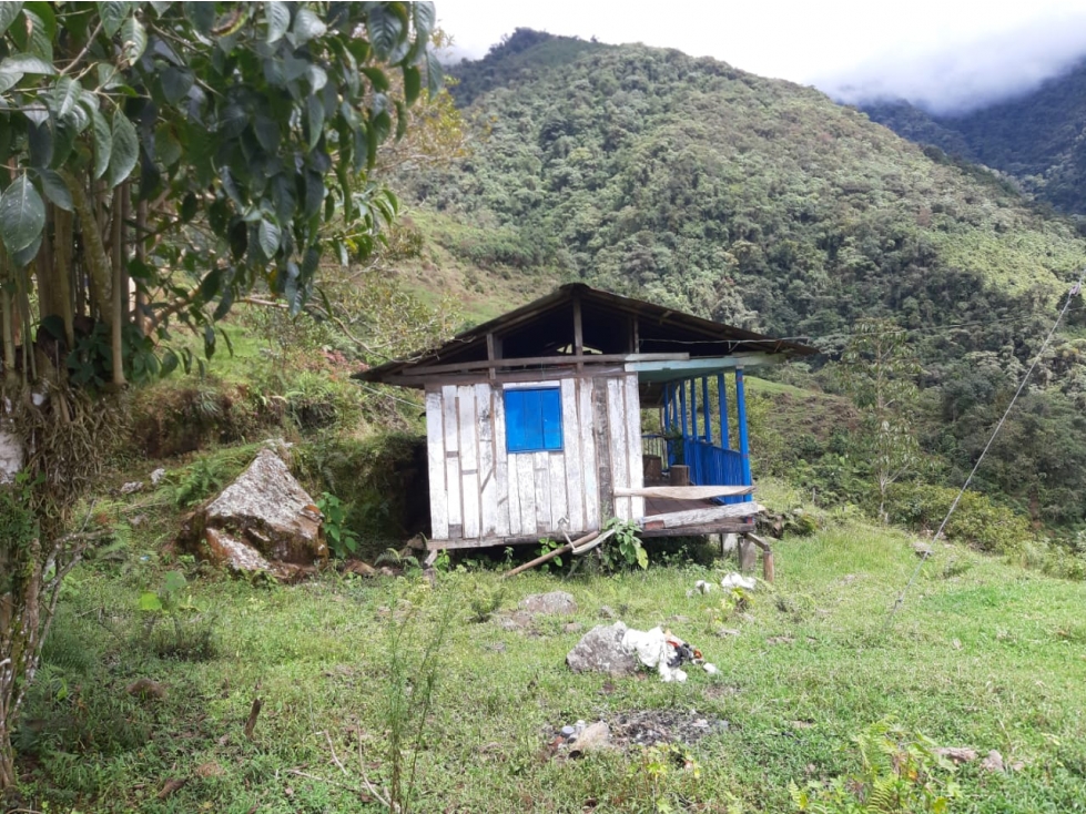 FINCA en Gestion - Pensilvania, Caldas - 1