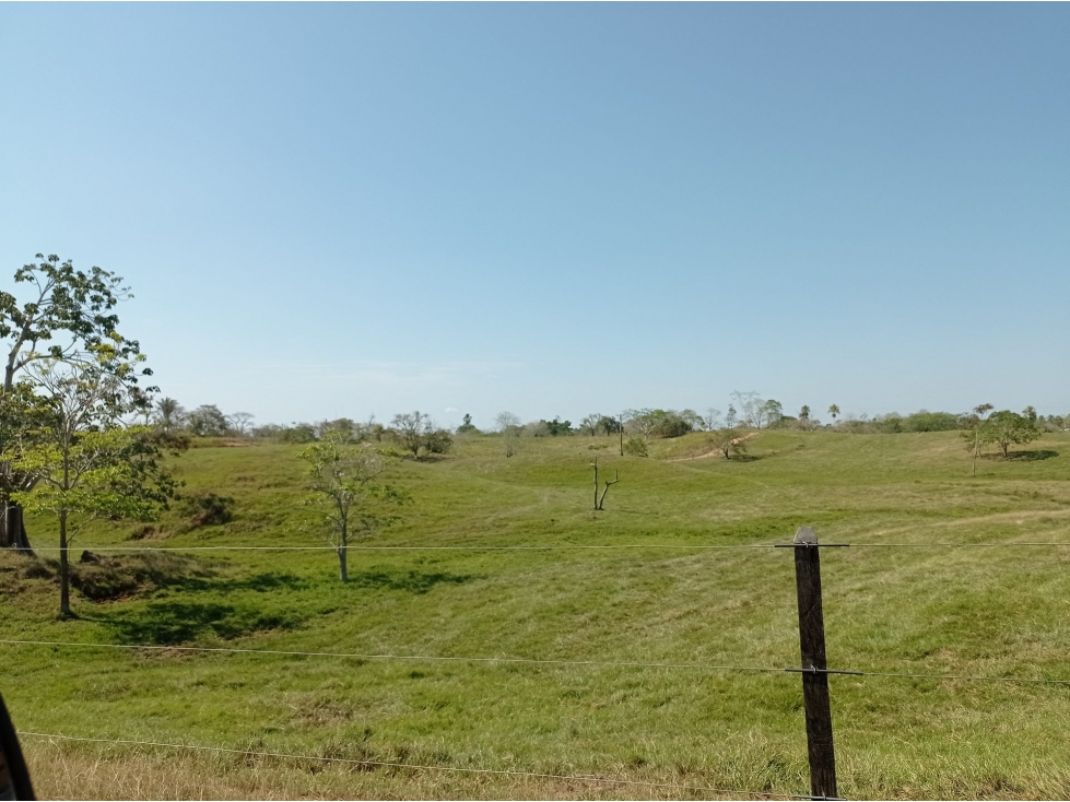 FINCA en Gestion - Planeta Rica, Cordoba - 1