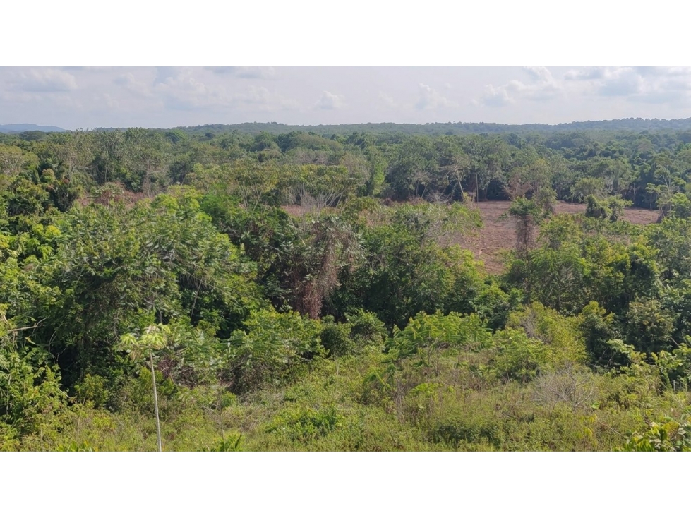 FINCA en Gestion - PUERTO PARRA, SANTANDER - 2