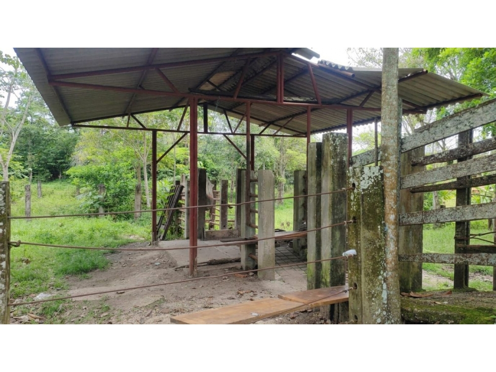 FINCA en Gestion - PUERTO PARRA, SANTANDER - 2