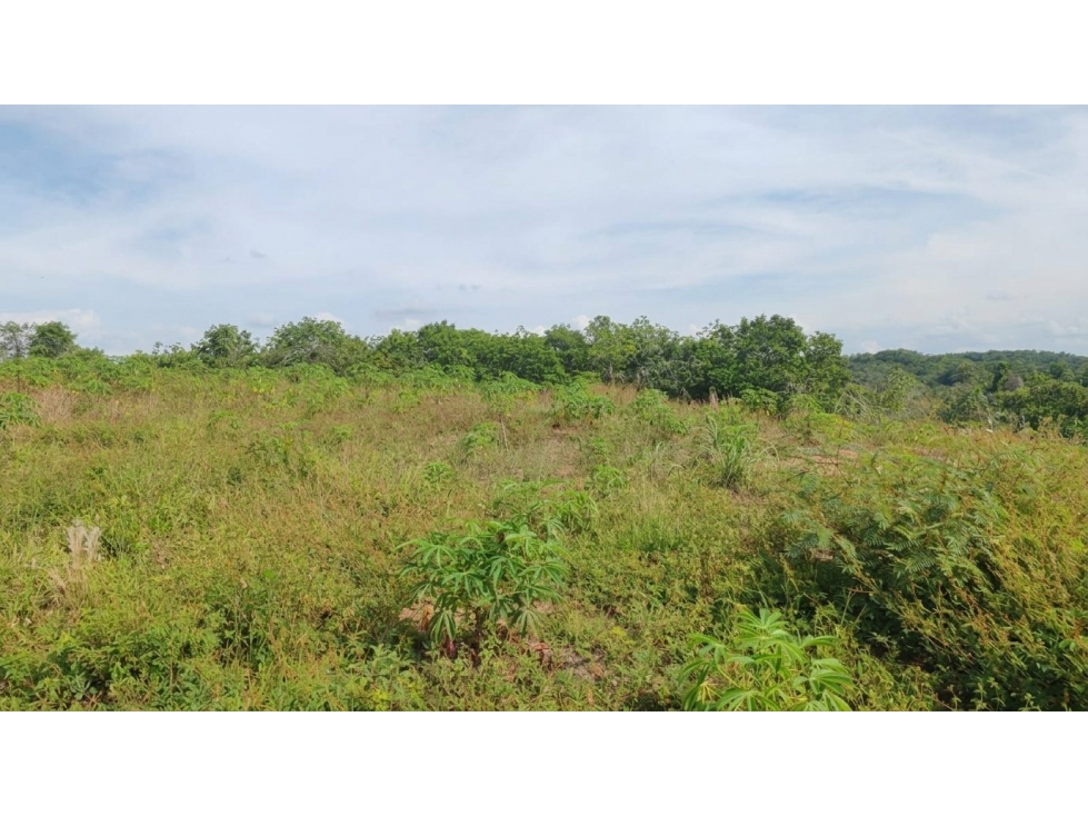 FINCA en Gestion - PUERTO PARRA, SANTANDER - 3