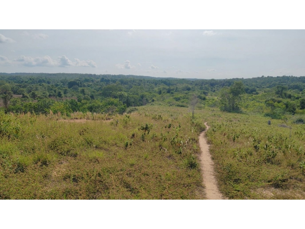 FINCA en Gestion - PUERTO PARRA, SANTANDER - 4