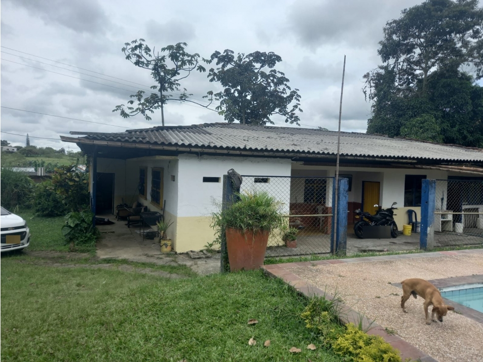 FINCA en Gestion - Quimbaya, Quindio - 1