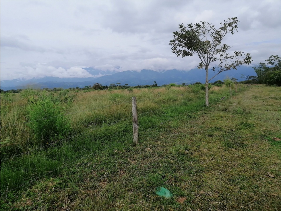 FINCA en Gestion - Restrepo, Meta - 1