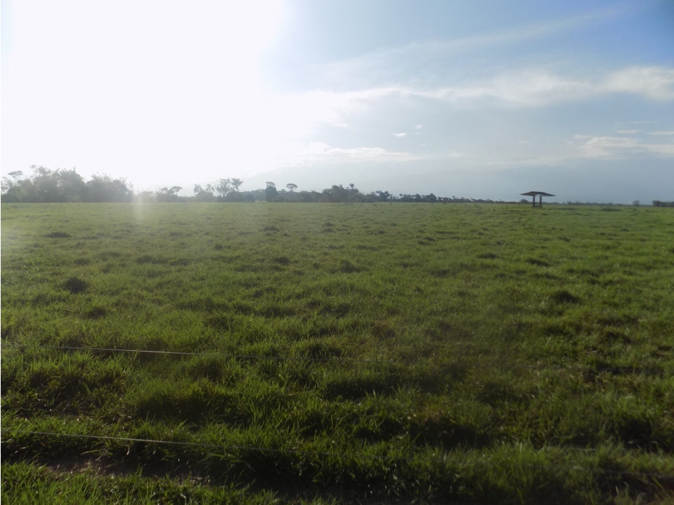 FINCA en Gestion - Restrepo, Meta - 1