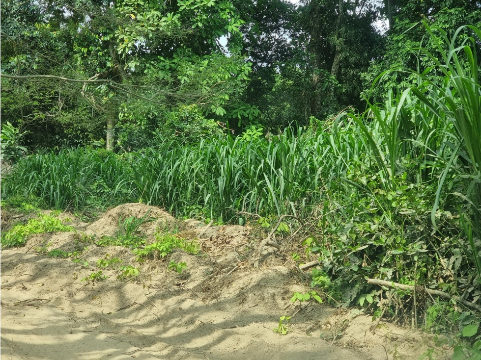 FINCA en Gestion - Riohacha, La Guajira - 1