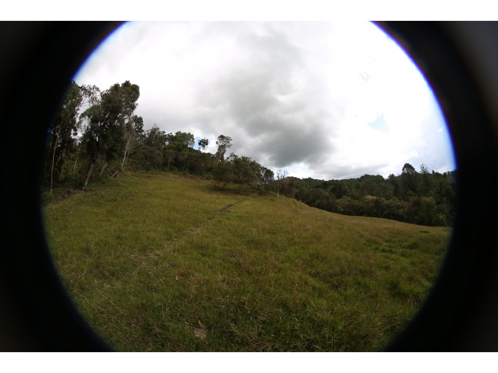 FINCA en Gestion - Rionegro, Antioquia