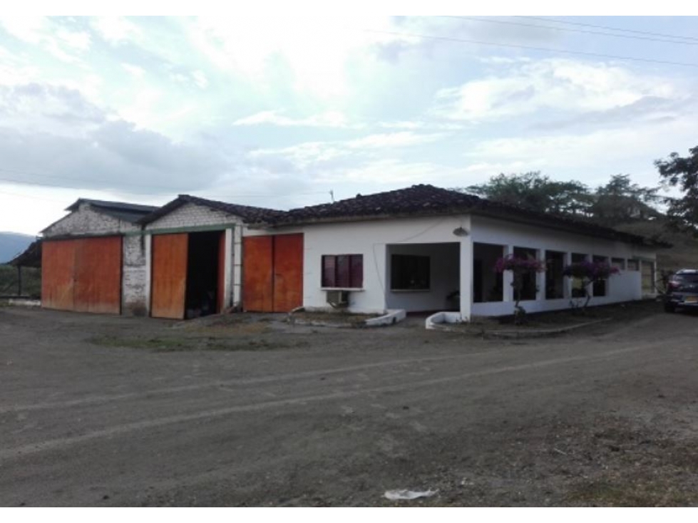 FINCA en Gestion - Roldanillo, Valle Del Cauca - 1