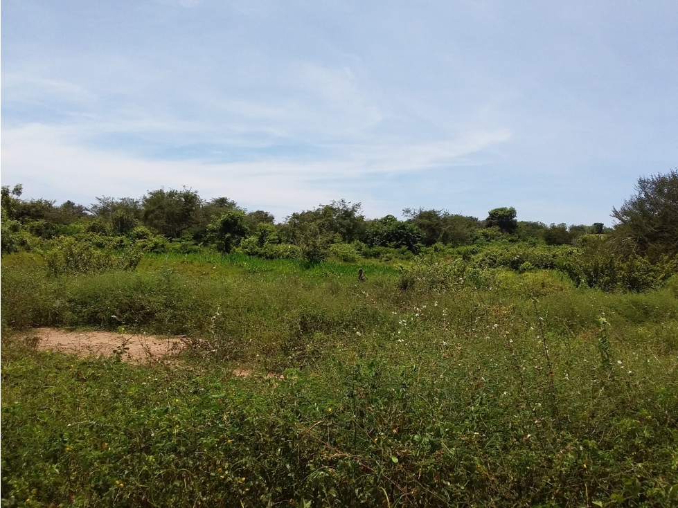 FINCA en Gestion - San Andrés De Sotavento, Córdoba
