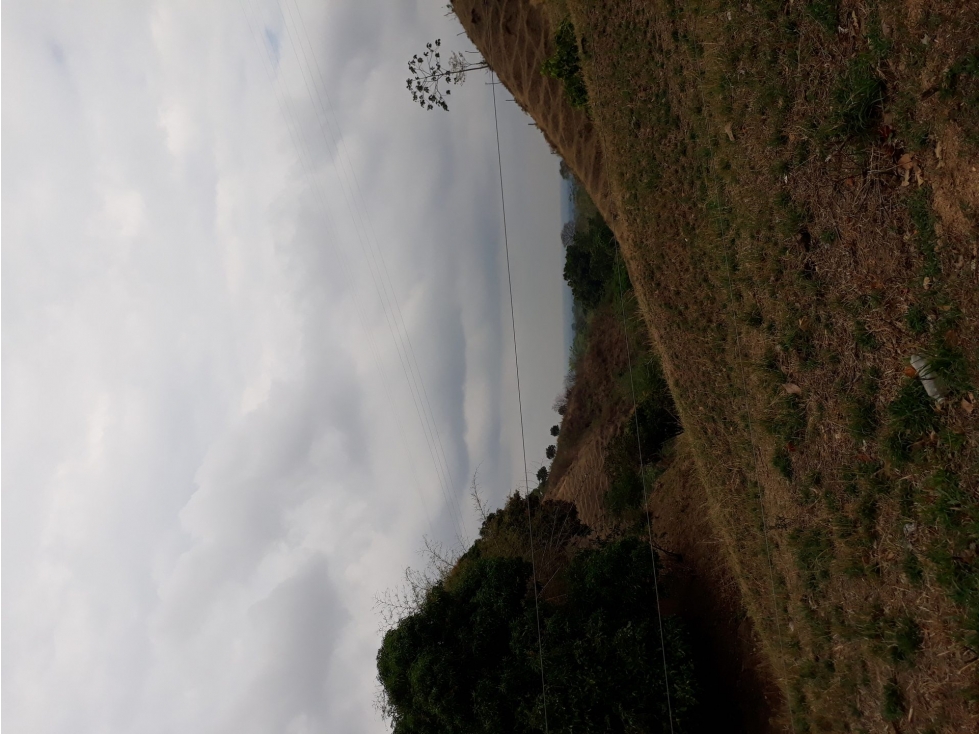 FINCA en Gestion - San Martin, Cesar - 1