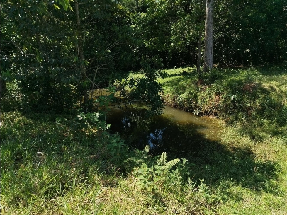 FINCA en Gestion - San Martín, Meta - 1