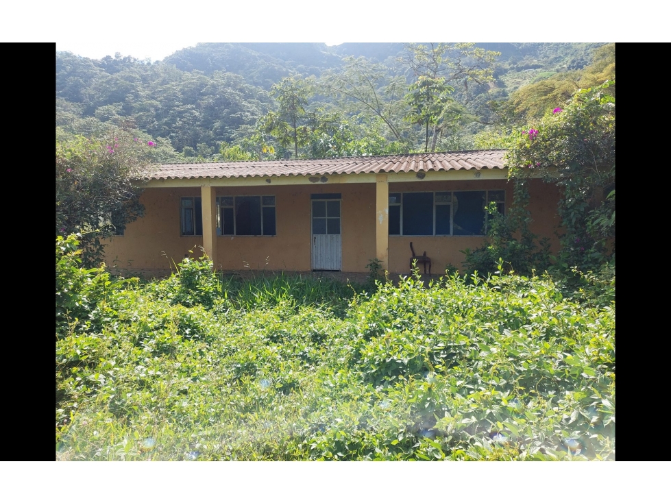 FINCA en Gestion - Sasaima, Cundinamarca - 1