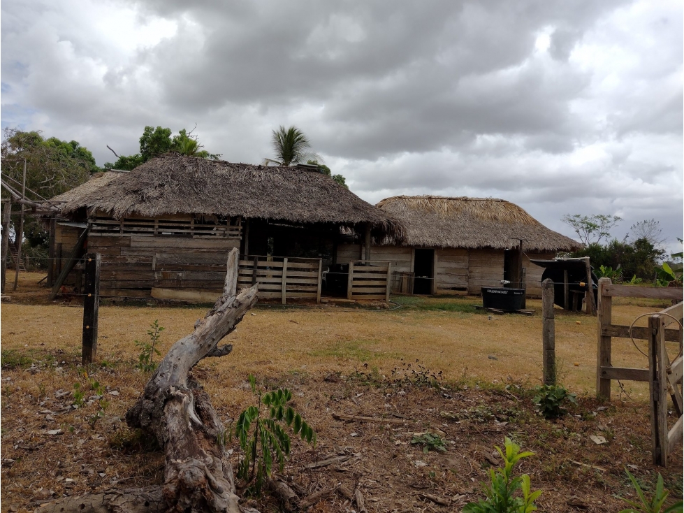 FINCA en Gestion - Tierralta, Cordoba - 1